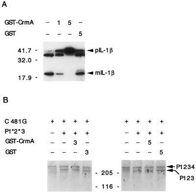 FIG. 7