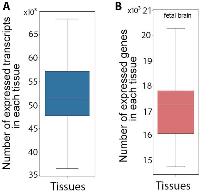 Figure 1: