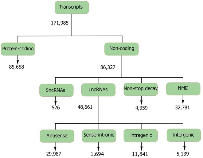 Figure 2: