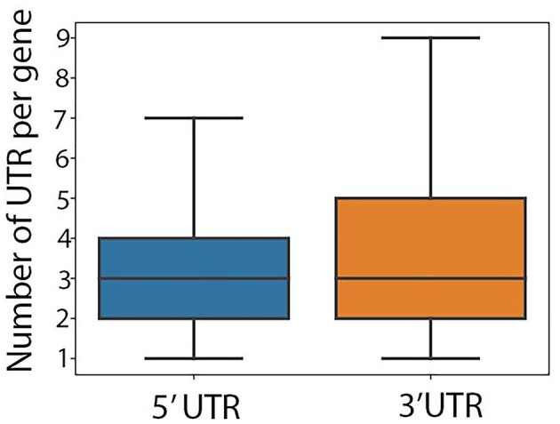 Figure 5: