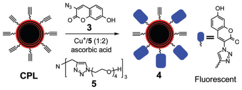 Scheme 3