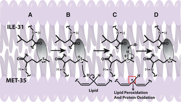 FIG. 7.