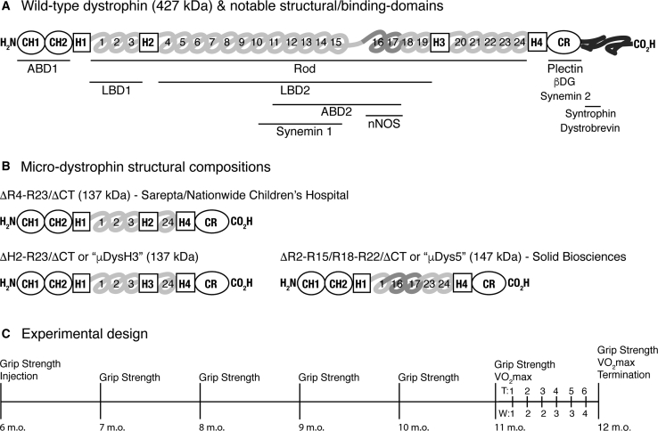 Figure 1