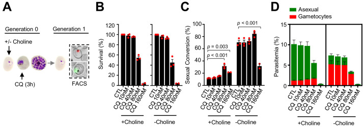 Figure 6—figure supplement 1.