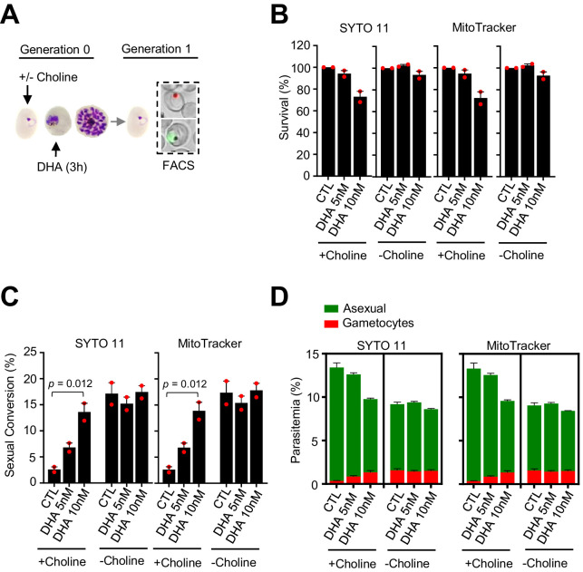 Figure 1—figure supplement 3.