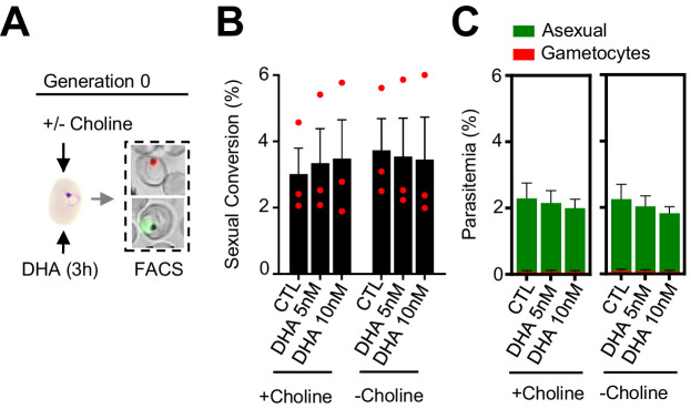 Figure 4—figure supplement 1.