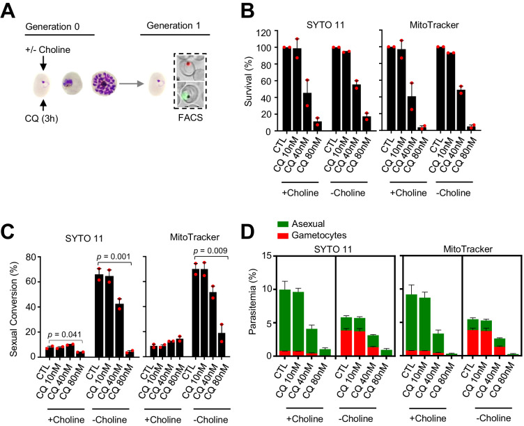 Figure 6—figure supplement 2.