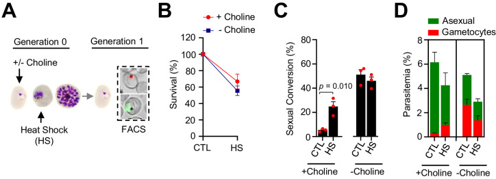 Figure 7.