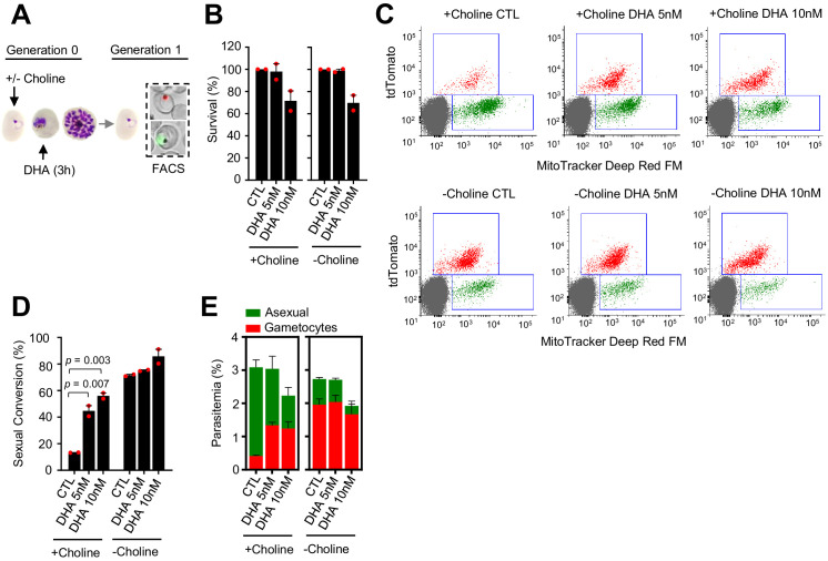 Figure 1—figure supplement 2.