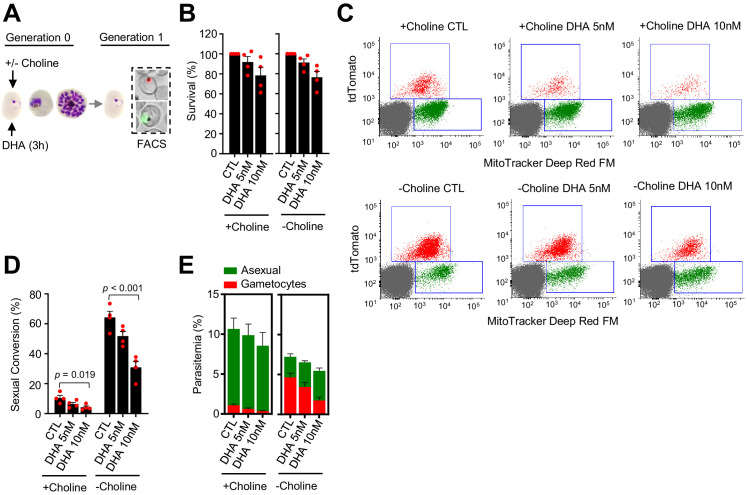 Figure 3—figure supplement 1.