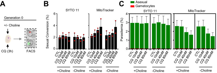 Figure 6—figure supplement 3.