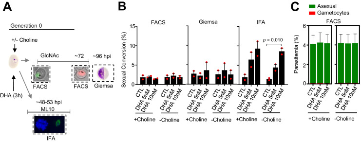 Figure 4—figure supplement 2.