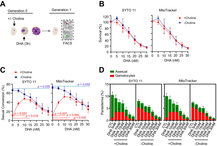 Figure 1—figure supplement 6.