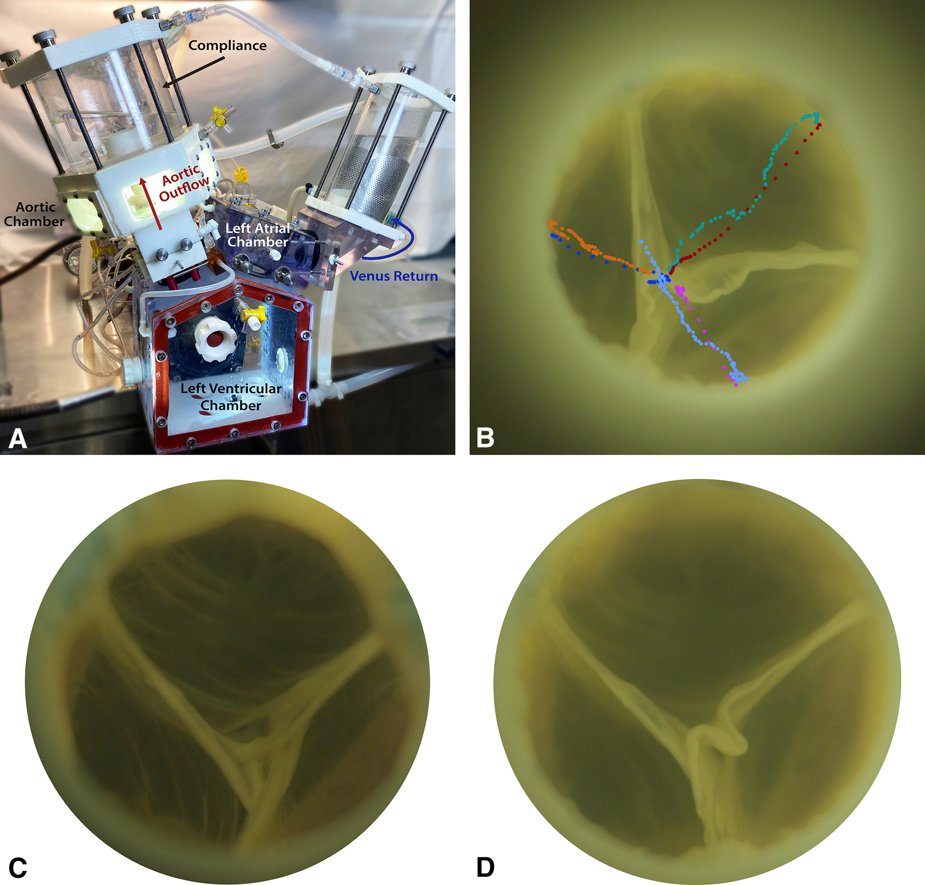 Figure 2: