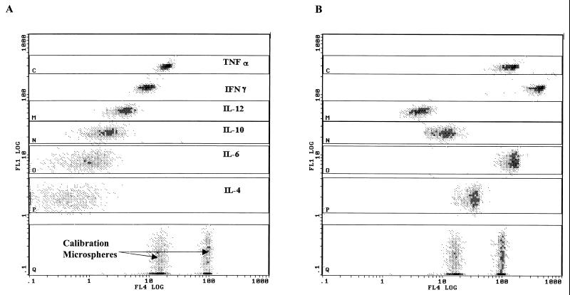 FIG. 1