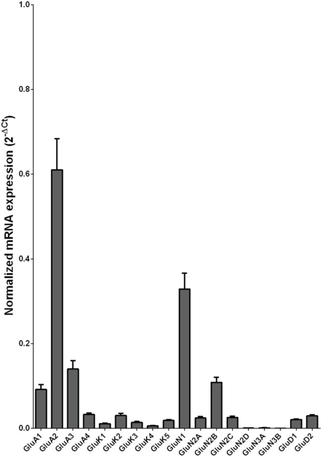 Figure 5