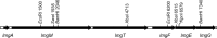 FIG 2