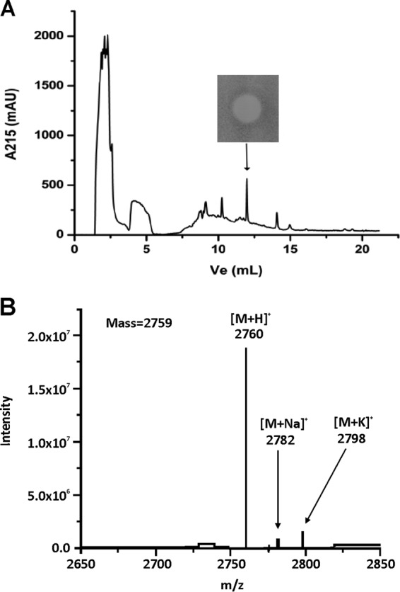 FIG 5