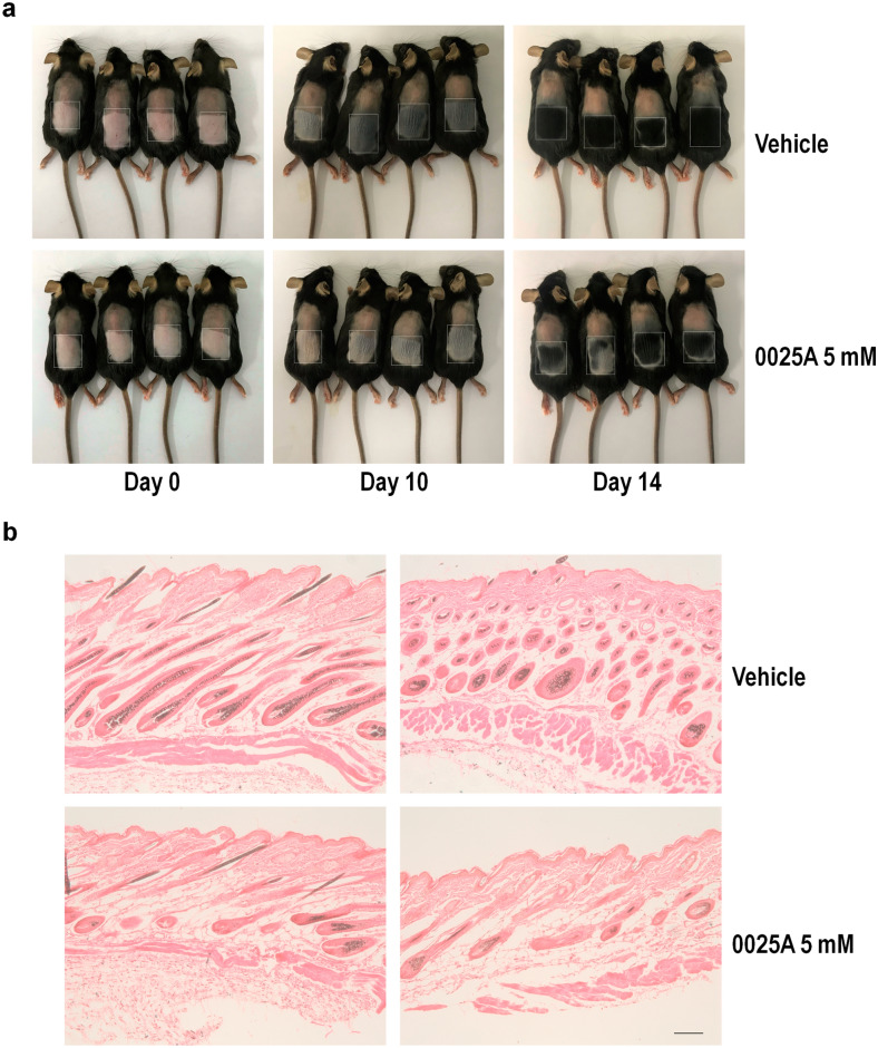 Fig. 9