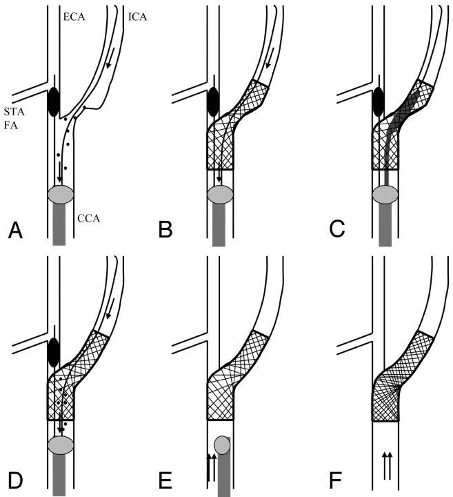 Fig 1.