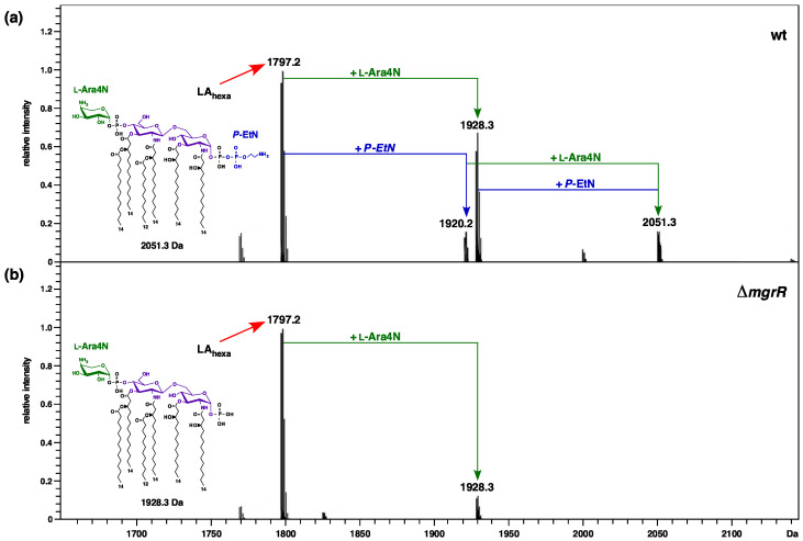 Figure 13