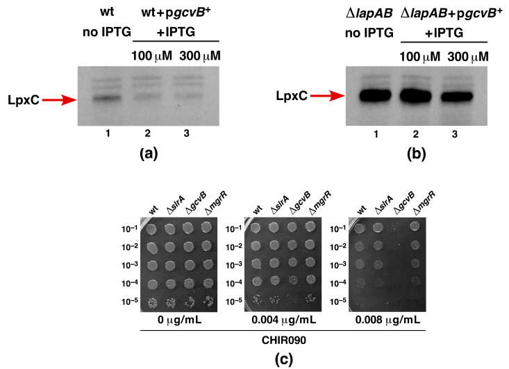 Figure 15