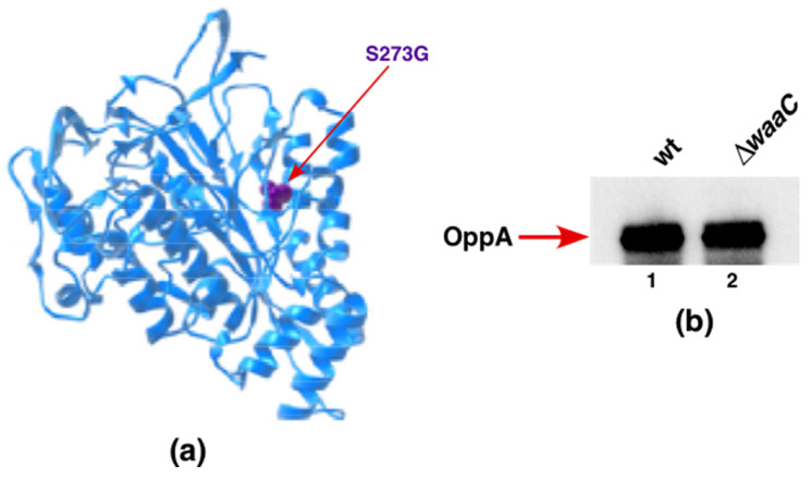 Figure 14