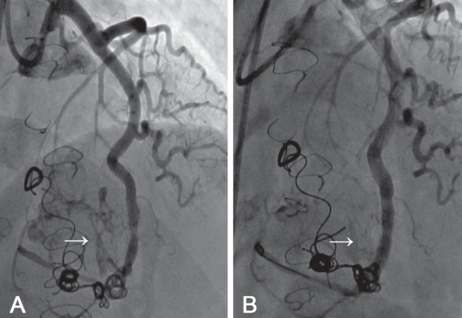 Figure 1)