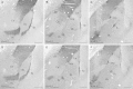 Fig. 2