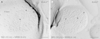 Fig. 9