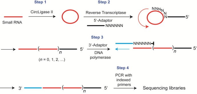 Figure 1.