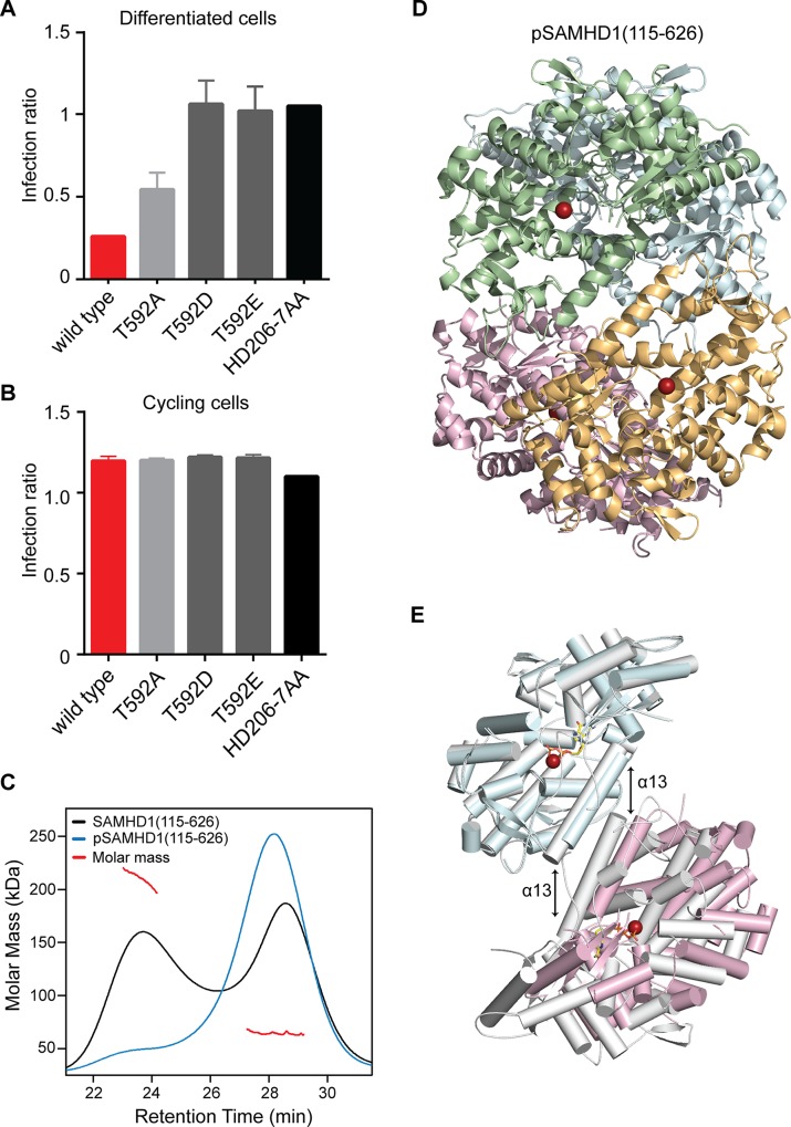 Fig 6