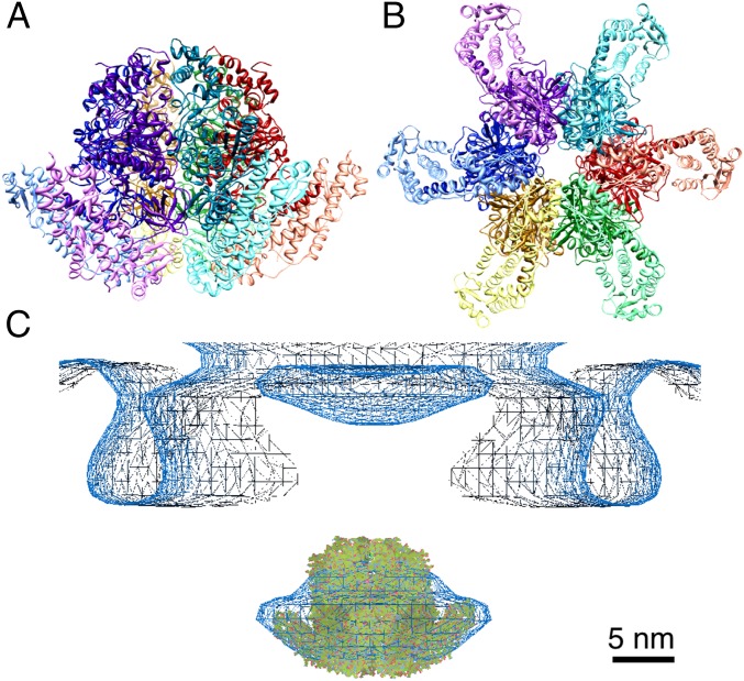 Fig. 4.