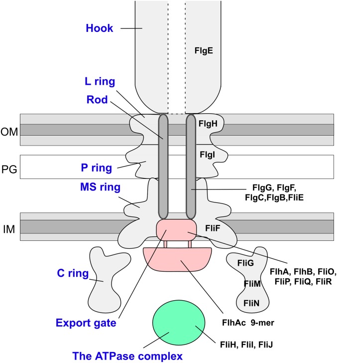 Fig. S1.