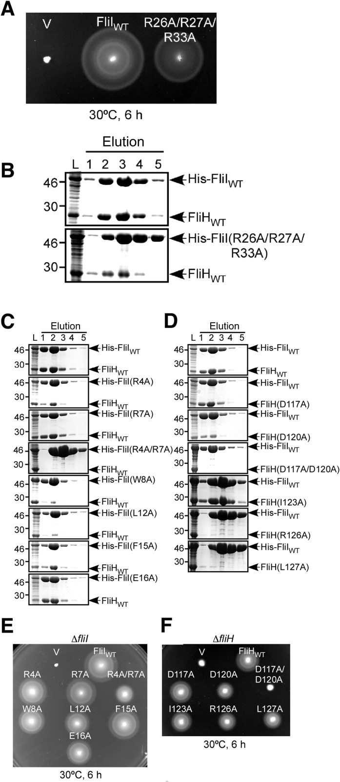 Fig. S5.