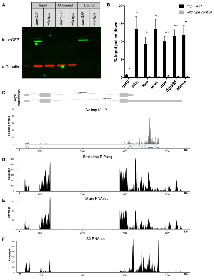 Figure 2—figure supplement 1.