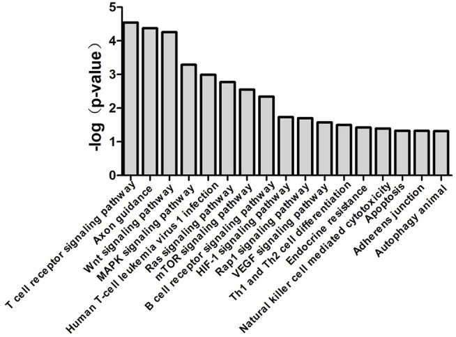 FIGURE 6