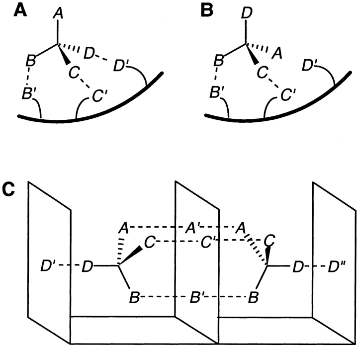 Fig. 1.