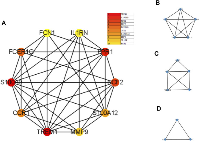 FIGURE 5