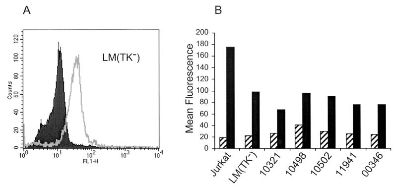 FIG. 7