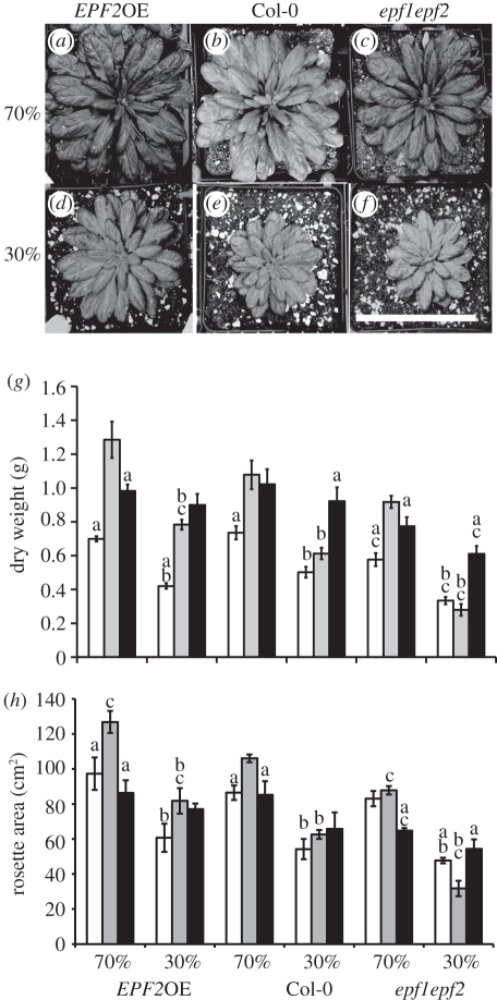 Figure 2.