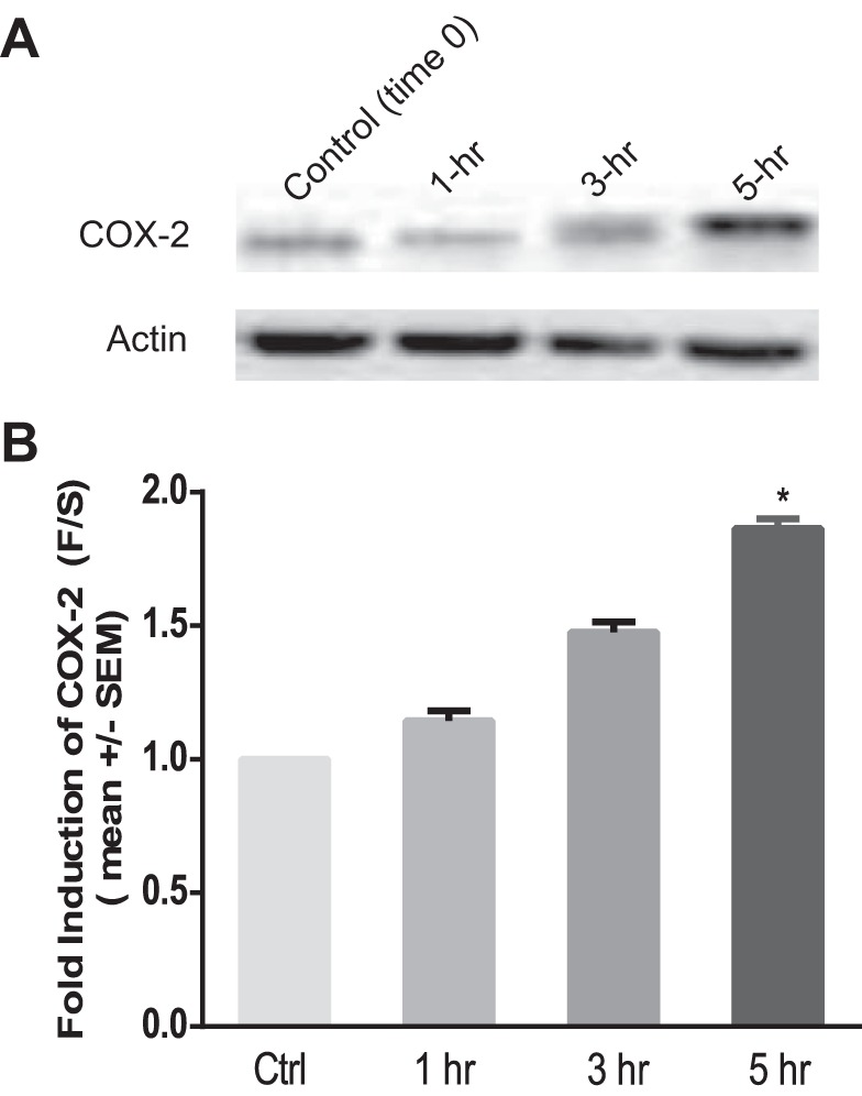 Fig. 15.