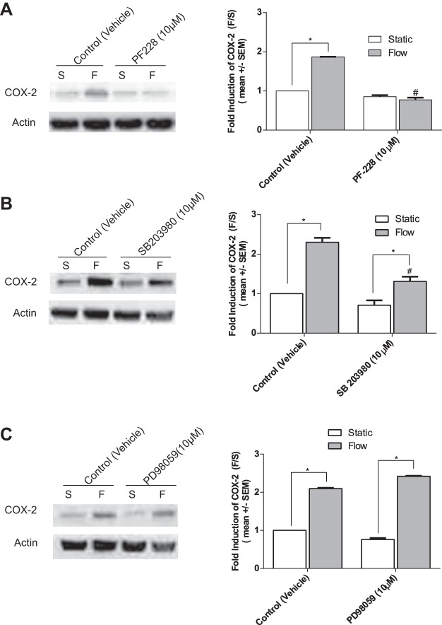 Fig. 11.