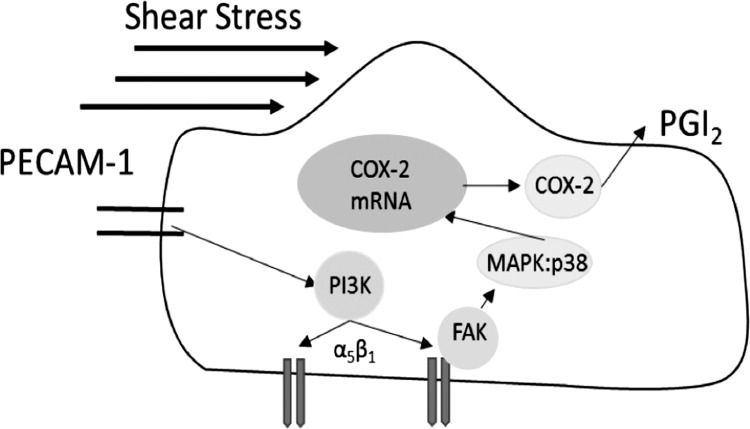 Fig. 14.