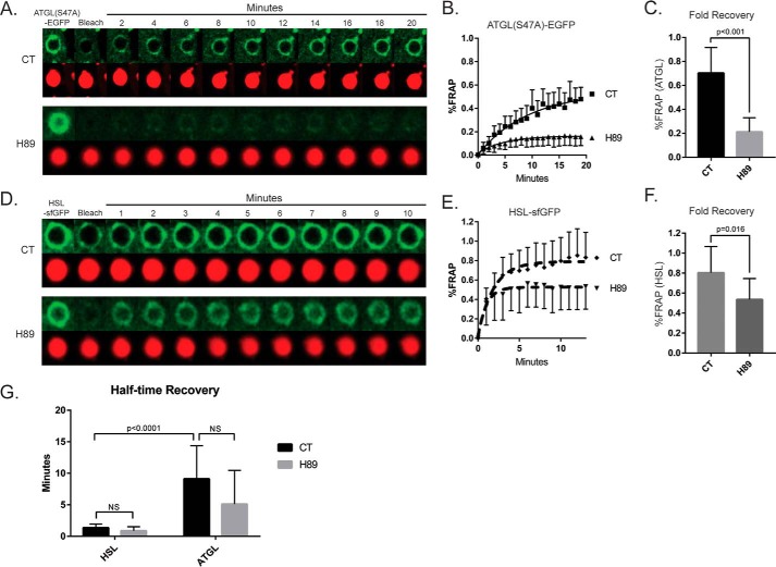 Figure 6.