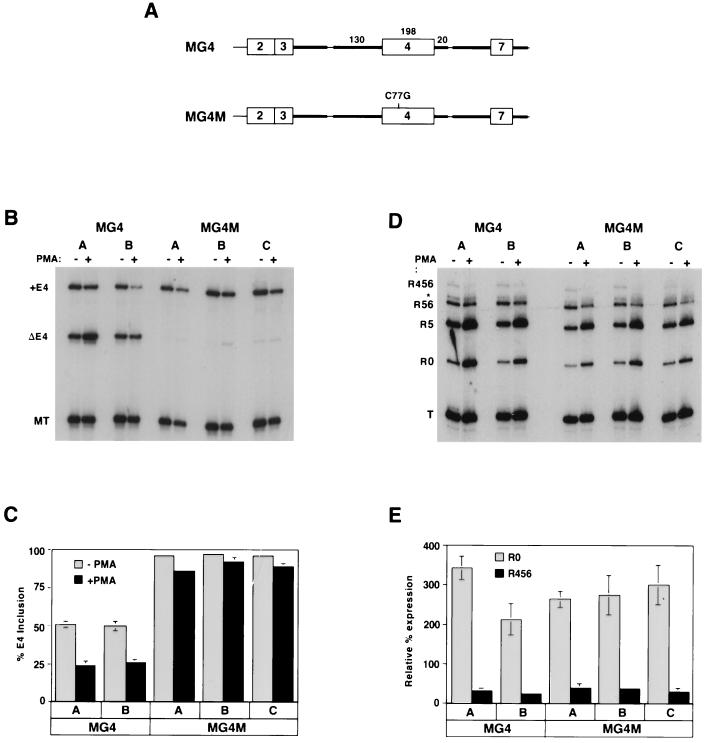 FIG. 7