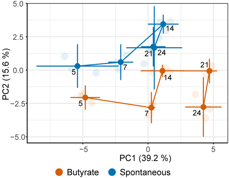 Fig. 2