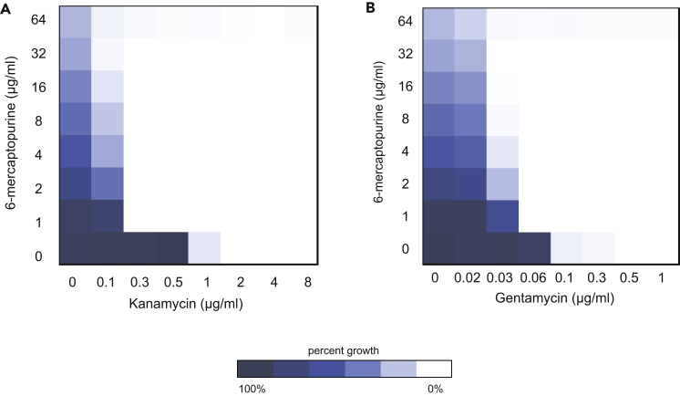 Figure 5