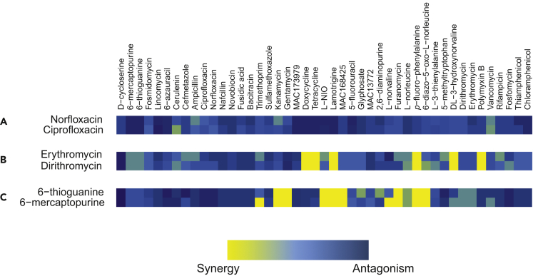 Figure 2