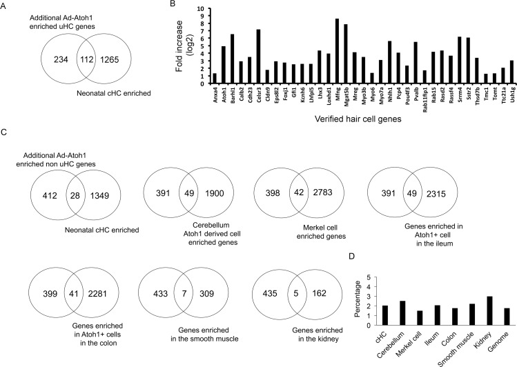 Figure 3—figure supplement 1.